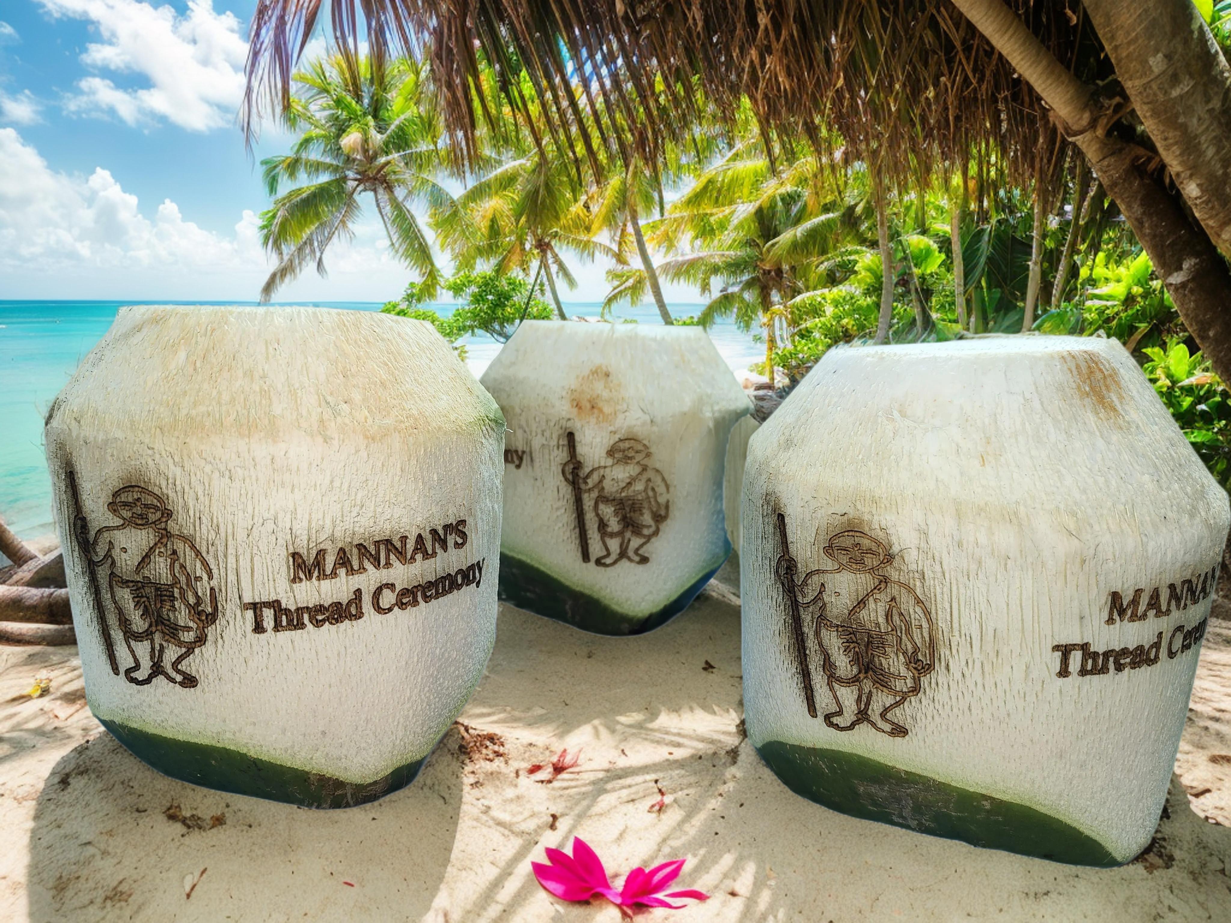 Fresh Peeled coconut