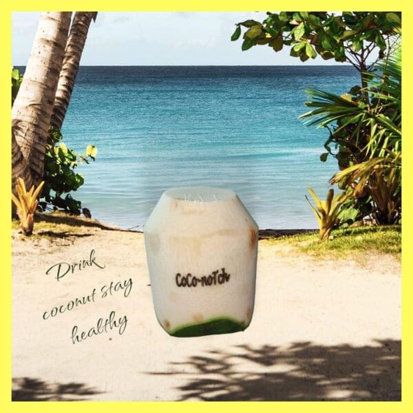 Fresh Coconuts water 50 numbers (Without Print) - Image 2